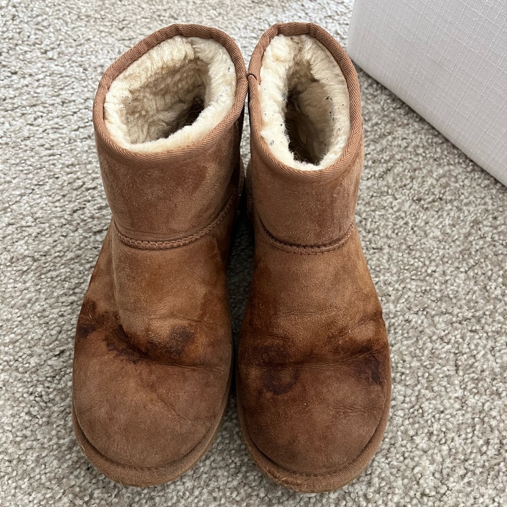 Chestnut mini Uggs